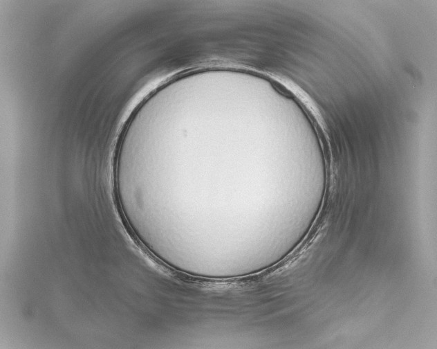 X0000115641341200912011453