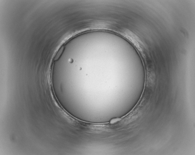 X0000115641342200912011453