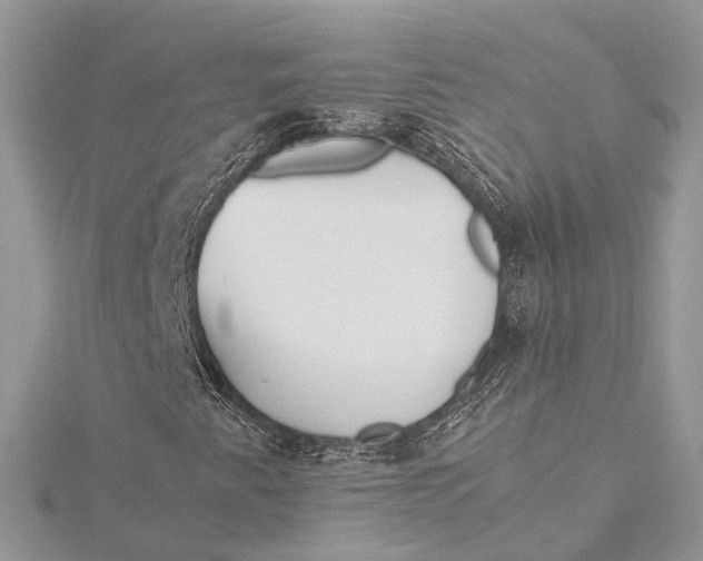 X0000115641345200912011453