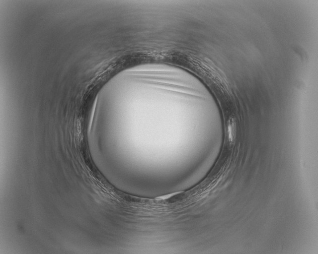 X0000115641347200912011453