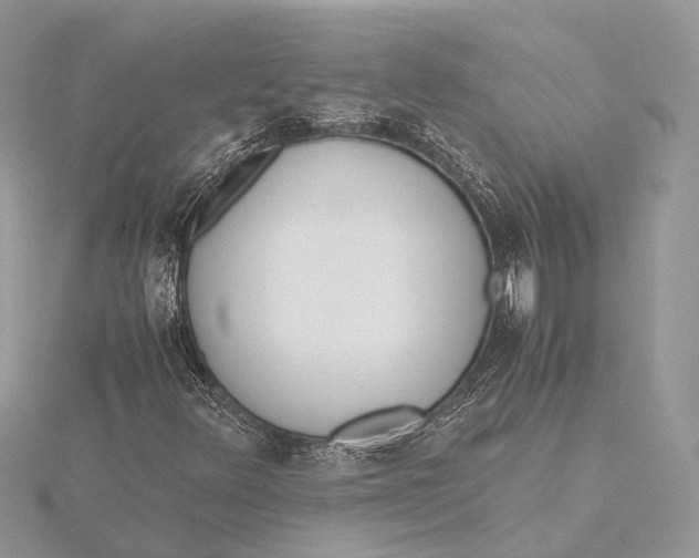 X0000115641348200912011453