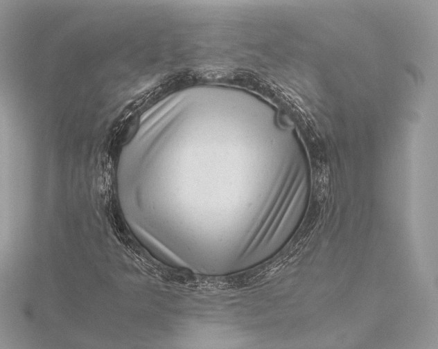 X0000115641349200912011453