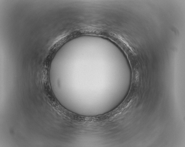 X0000115641350200912011453