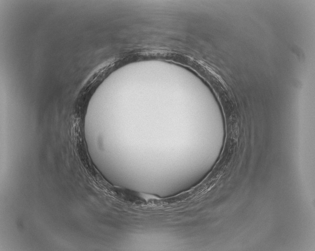 X0000115641351200912011453