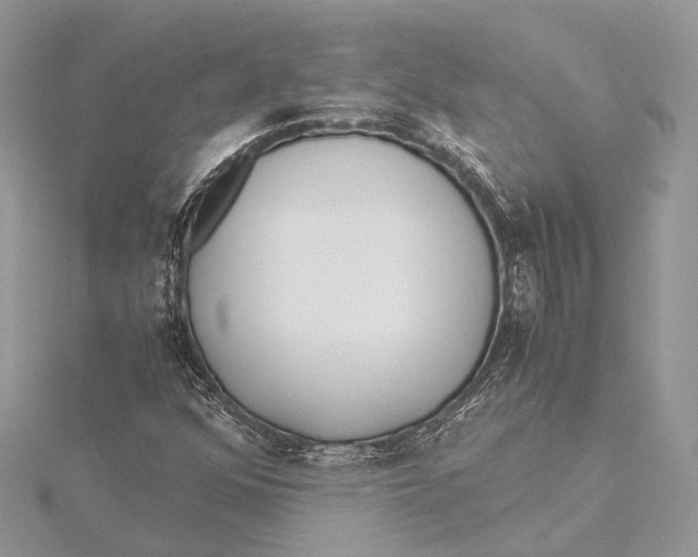 X0000115641352200912011453