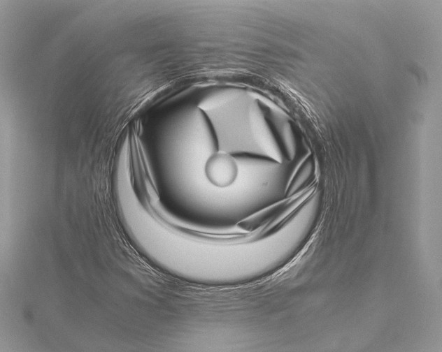 X0000115641353200912011453