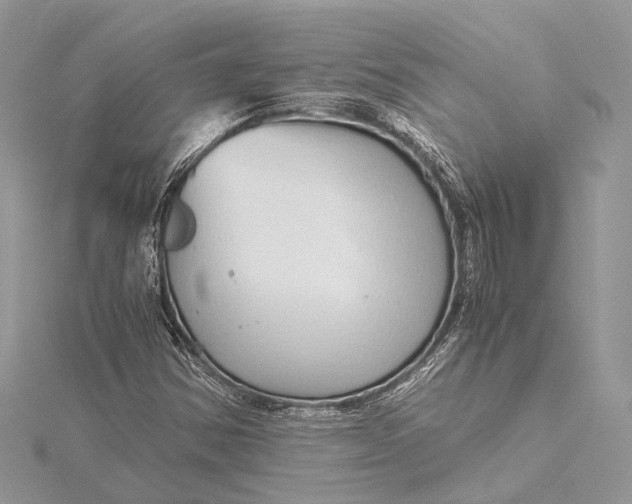 X0000115641354200912011453