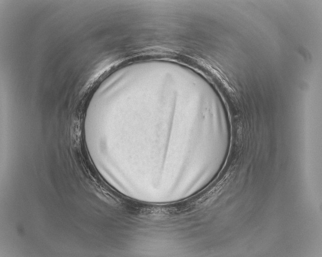 X0000115641355200912011453