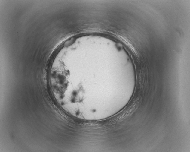 X0000115641356200912011453