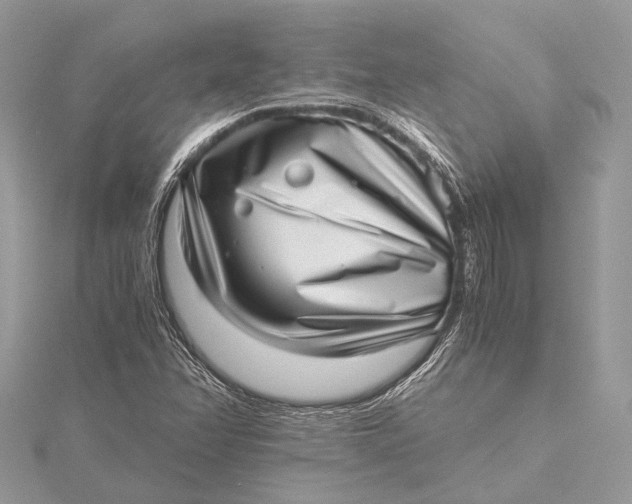 X0000115641358200912011453