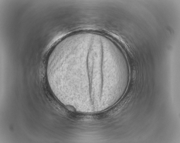 X0000115641359200912011453