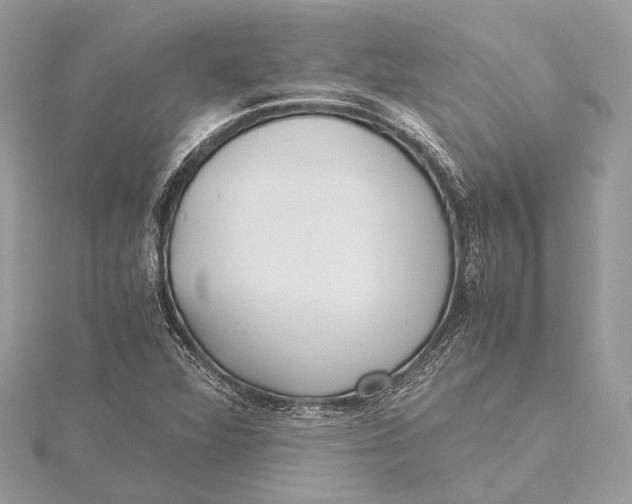 X0000115641360200912011452