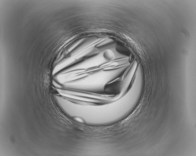 X0000115641361200912011452