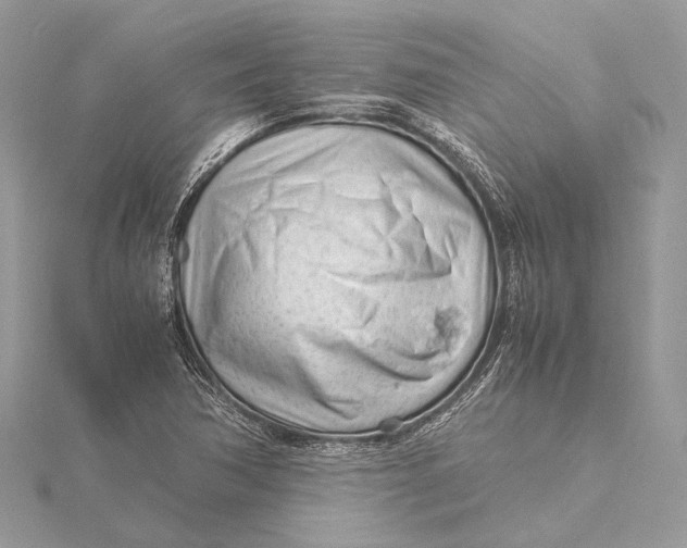 X0000115641362200912011452