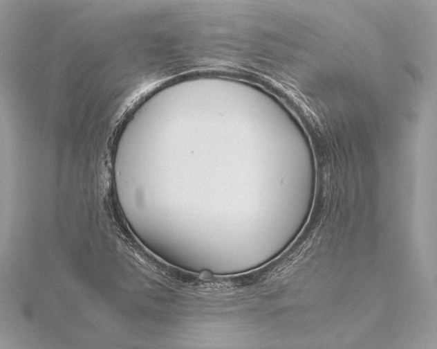 X0000115641363200912011452