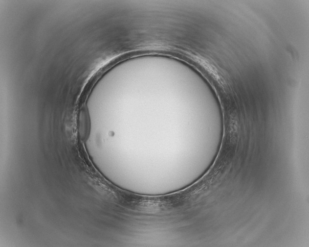 X0000115641364200912011452