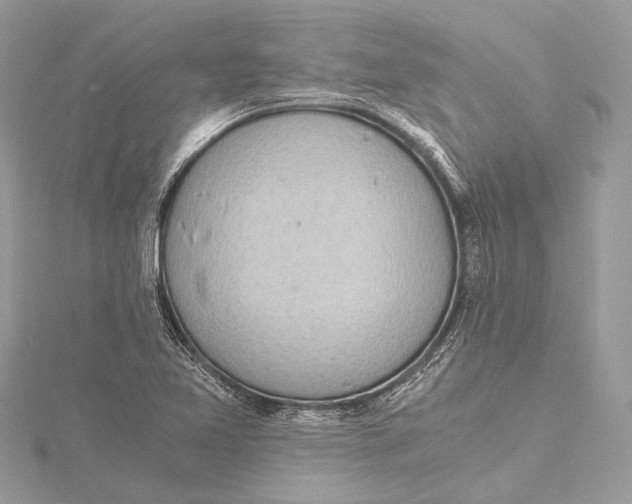 X0000115641365200912011452