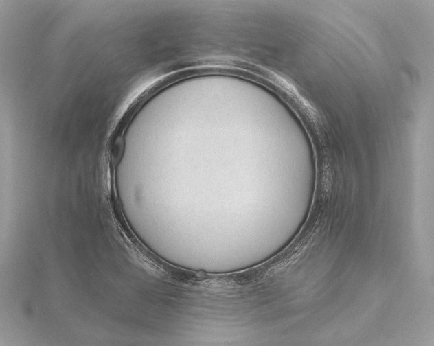 X0000115641368200912011452