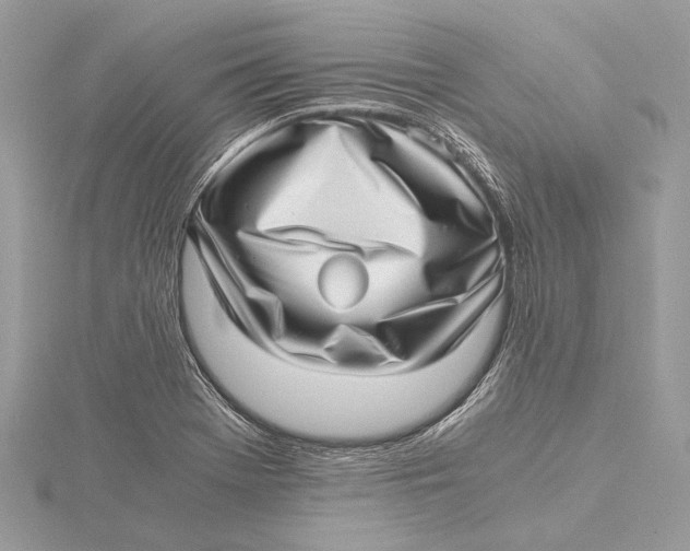 X0000115641369200912011452