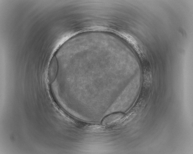 X0000115641373200912011452