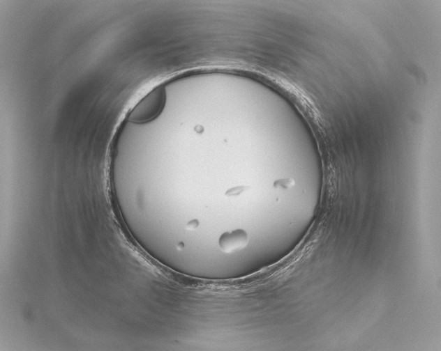 X0000115641374200912011452