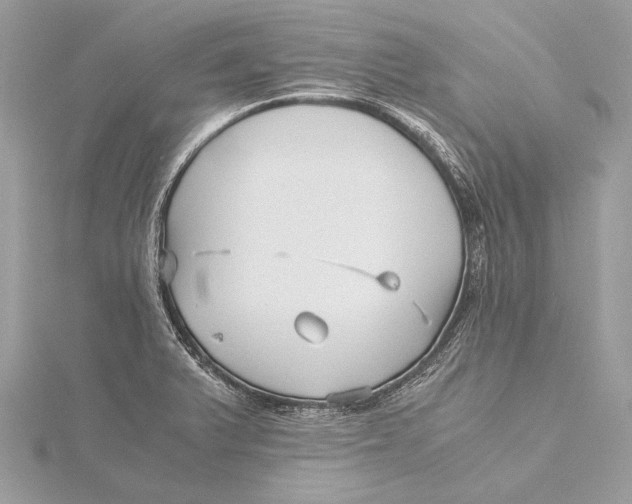 X0000115641375200912011452