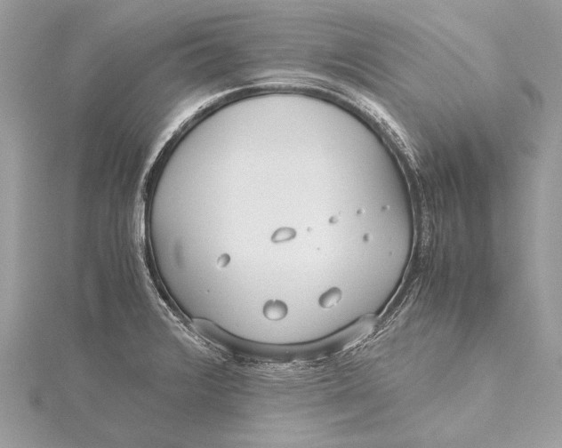 X0000115641376200912011452