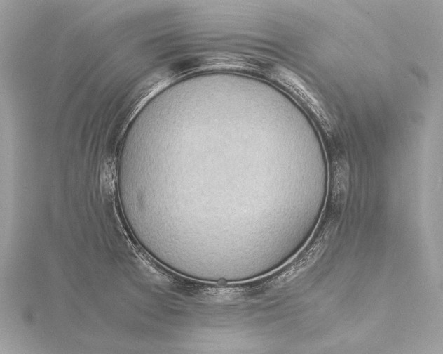 X0000115641377200912011452