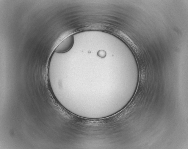 X0000115641378200912011452