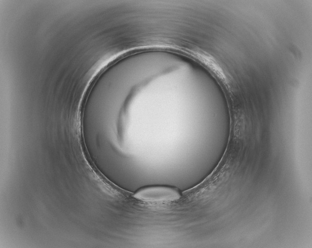 X0000115641380200912011452