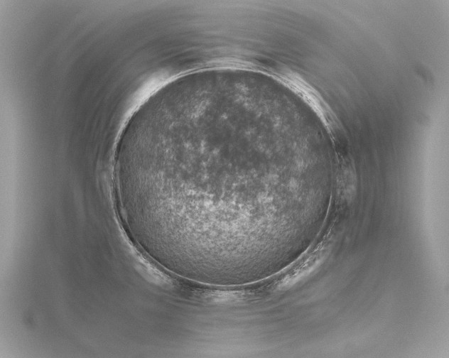 X0000115641381200912011452