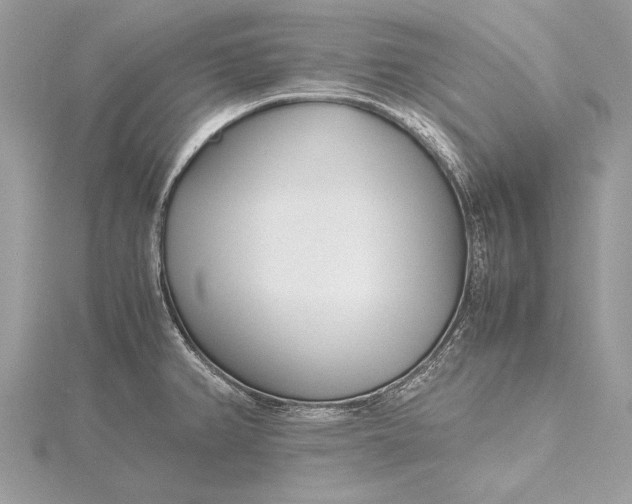 X0000115641382200912011452