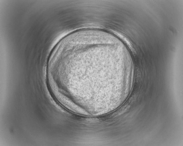 X0000115641383200912011452