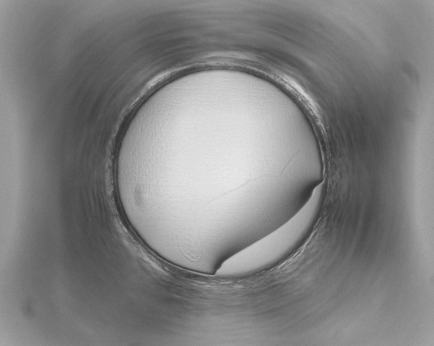 X0000115641384200912011452