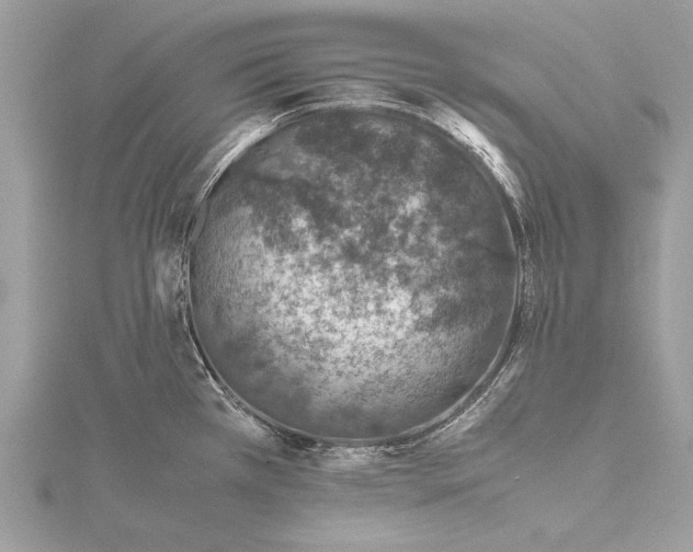 X0000115641385200912011452