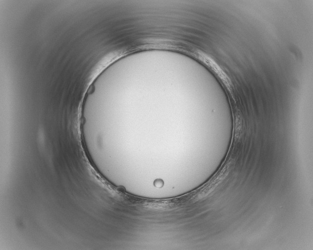 X0000115641386200912011452