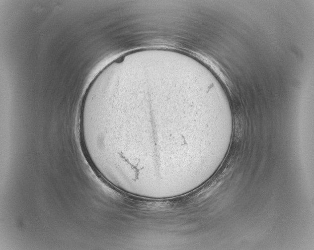 X0000115641387200912011452