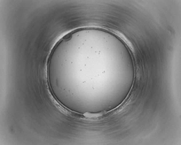 X0000115641388200912011452