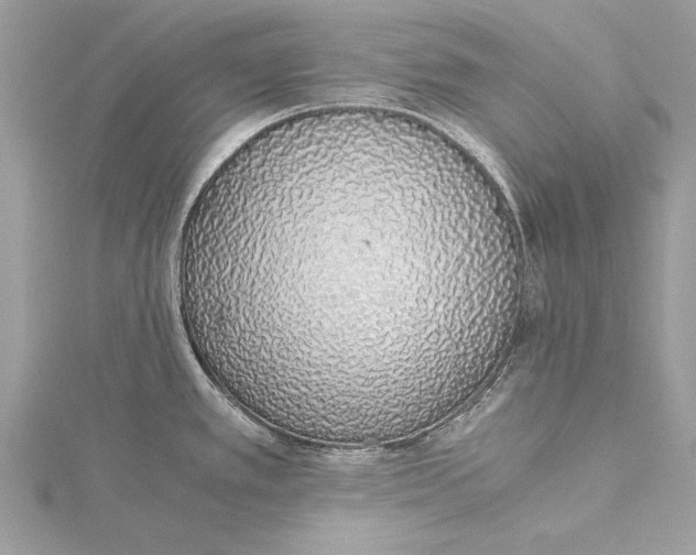 X0000115641389200912011452