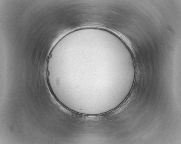 X0000115641390200912011452