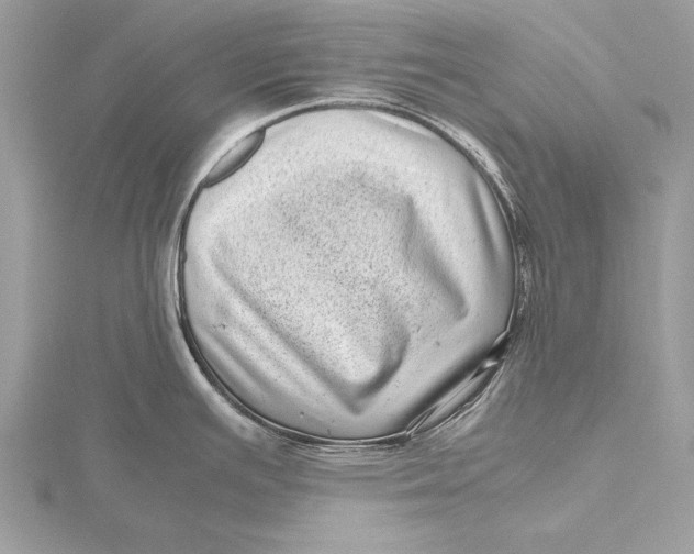 X0000115641391200912011452