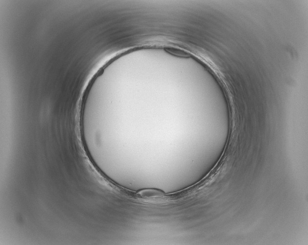 X0000115641392200912011452