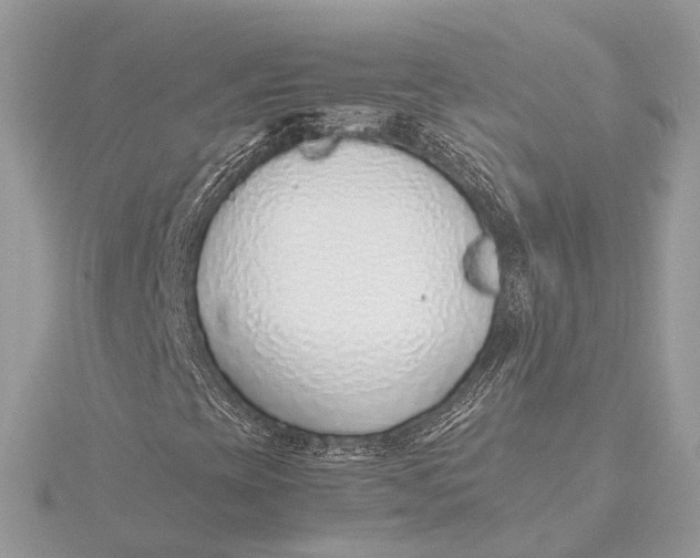 X0000115641393200912011451