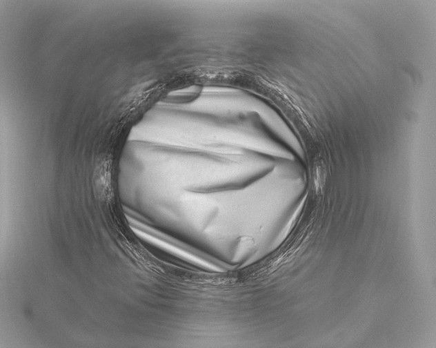 X0000115641396200912011452