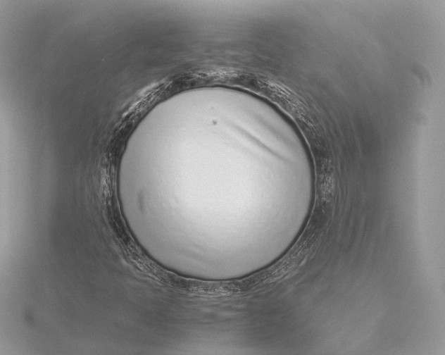 X0000115641397200912011452