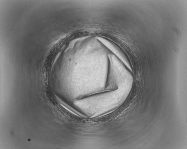 X0000115641398200912011452