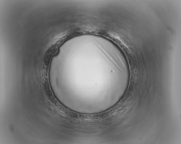 X0000115641399200912011452