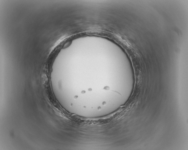 X0000115641400200912011452