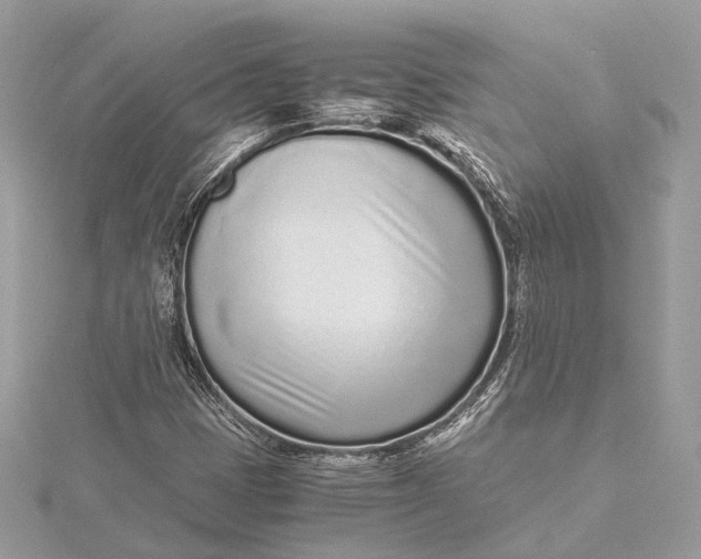 X0000115641401200912011452