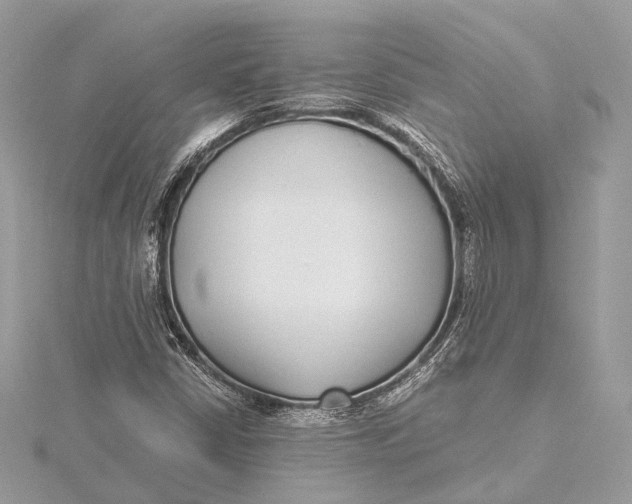 X0000115641402200912011452